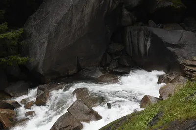 DSC_4710 (Large).JPG